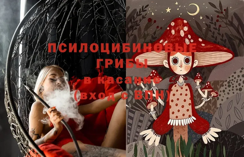 где найти наркотики  Рыбинск  Галлюциногенные грибы Psilocybe 